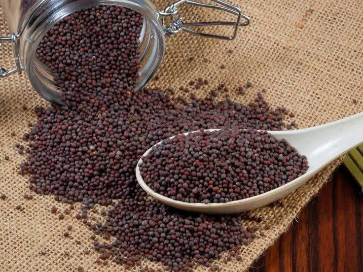 Canola Seeds - Image 2