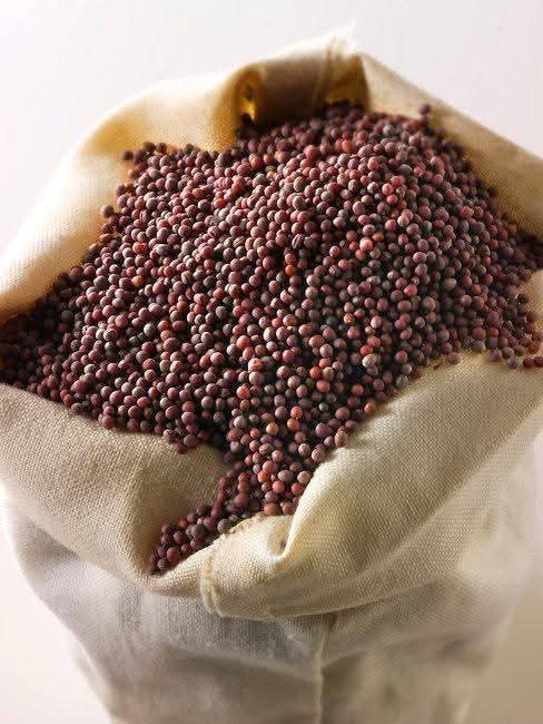 Canola Seeds - Image 3
